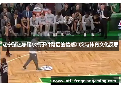 辽宁球迷怒砸水瓶事件背后的情感冲突与体育文化反思