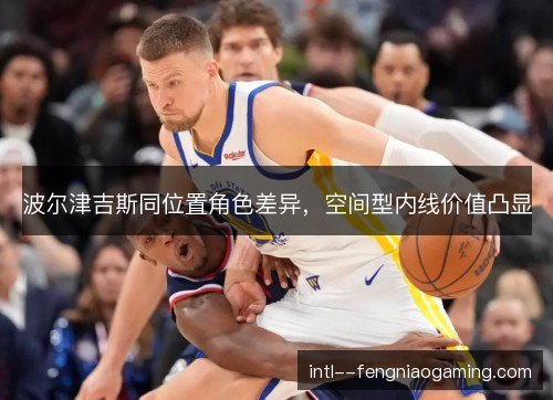 波尔津吉斯同位置角色差异，空间型内线价值凸显