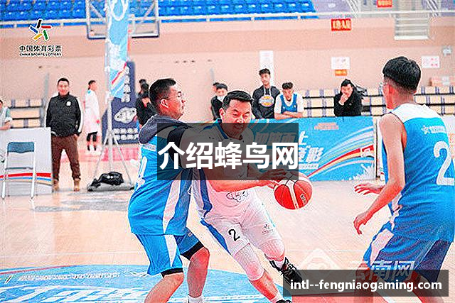 介绍蜂鸟网